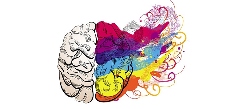 Constelaciones Cerebrales y el Sobrepeso