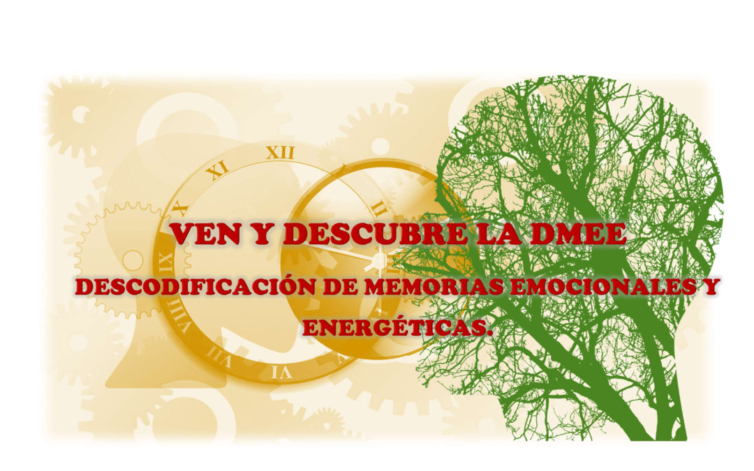 ¿Qué es la DMEE?